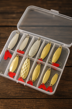 Charger l'image dans la galerie, Pack 10 Cuillère Or/Argent - Vibration & brillance