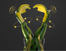 Charger l'image dans la galerie, Leurre Grenouille Flottante à Pattes Rotatives