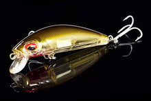 Charger l'image dans la galerie, Leurre dur Vairon lumineux 7 cm 11.5g