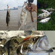 Charger l'image dans la galerie, Leurre souple parfumés x5 - Nage + attractant