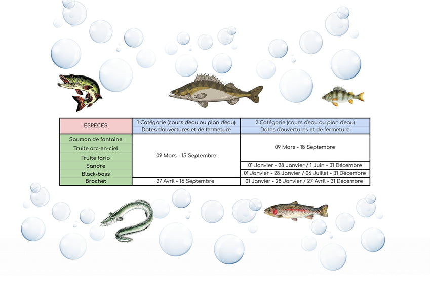 Calendrier d'ouverture et de fermeture de la pêche