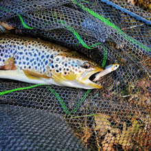 Charger l&#39;image dans la galerie, Têtes Plombées – Jig Vairon Ultra Réaliste | 5g à 40g
