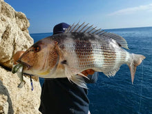 Charger l&#39;image dans la galerie, Têtes Plombées – Jig Vairon Ultra Réaliste | 5g à 40g
