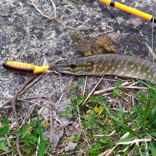 Leurre rotatif qui éveillera a coup sur l'instinct de chasse de tout prédateurs 
